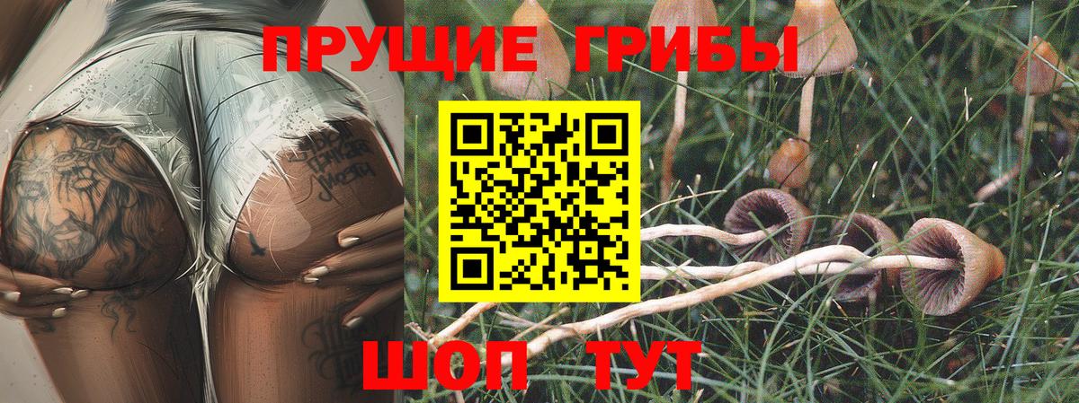 Нефтеюганск  Псилоцибиновые грибы мухоморы  наркотики  Вход с VPN 